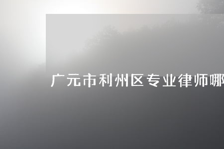 广元市利州区专业律师哪个好 广元市利州区专业律师哪个好