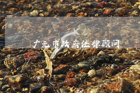 广元市政府法律顾问 广元市政府法律顾问