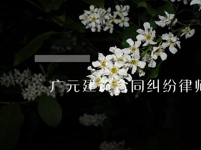 广元建筑合同纠纷律师 广元建筑合同纠纷律师