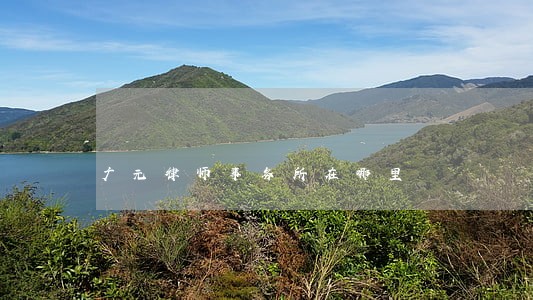 广元律师事务所在哪里 广元律师事务所在哪里