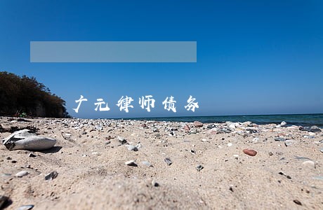 广元律师债务 广元律师债务