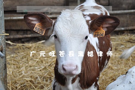 广元旺苍县离婚律师 广元旺苍县离婚律师