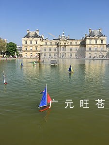 广元旺苍离婚案子律师