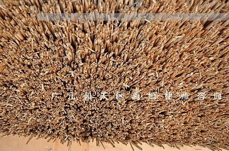 广元朝天区离婚律师咨询 广元朝天区离婚律师咨询
