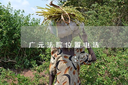 广元法院位置电话 广元法院位置电话