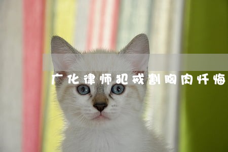 广化律师犯戒割胸肉忏悔 广化律师犯戒割胸肉忏悔