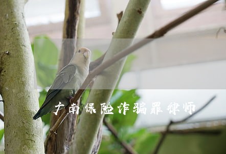广南保险诈骗罪律师