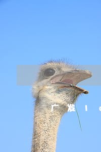 广发1w逾期4个月 广发1w逾期4个月