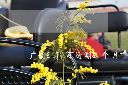 广发27万逾期8个月 广发27万逾期8个月