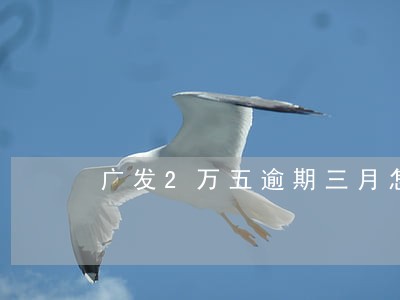 广发2万五逾期三月怎么办
