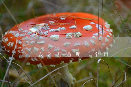 广发2万逾期一个月 广发2万逾期一个月