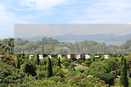 广发3万多逾期一年 广发3万多逾期一年