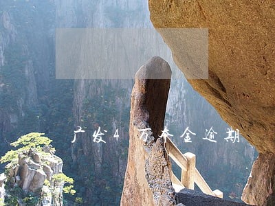 广发4万本金逾期