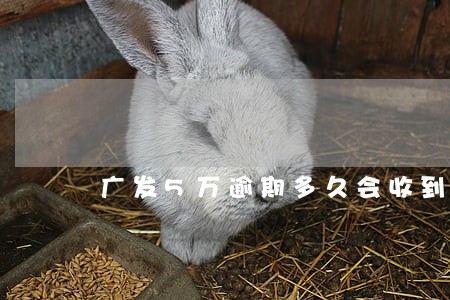 广发5万逾期多久会收到律师函吗 广发5万逾期多久会收到律师函吗