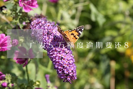 广发5万额度逾期要还8万 广发5万额度逾期要还8万