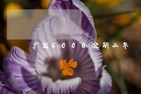 广发6000逾期二年 广发6000逾期二年