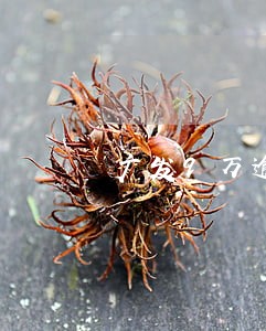 广发9万逾期一年