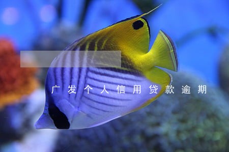 广发个人信用贷款逾期 广发个人信用贷款逾期