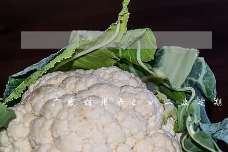 广发信用卡2w二次逾期被起诉