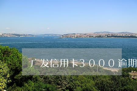 广发信用卡3000逾期5个月