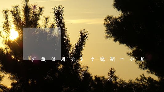 广发信用卡3千逾期一个月 广发信用卡3千逾期一个月