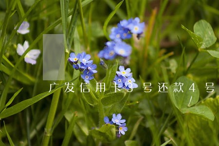 广发信用卡3号还款4号算逾期吗 广发信用卡3号还款4号算逾期吗