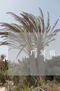 广发信用卡5万逾期一年找银监局 广发信用卡5万逾期一年找银监局