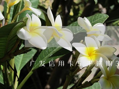 广发信用卡5千逾期3个月 广发信用卡5千逾期3个月