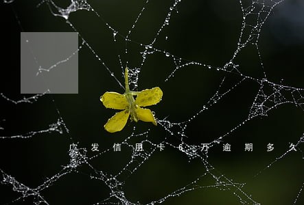 广发信用卡6万逾期多久会上门 广发信用卡6万逾期多久会上门