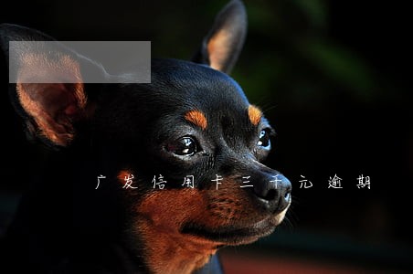 广发信用卡三千元逾期 广发信用卡三千元逾期