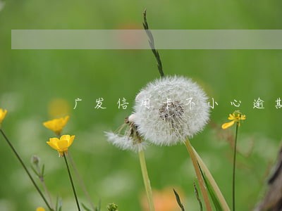 广发信用卡不小心逾期一天怎么办
