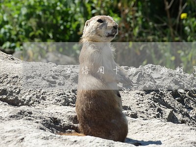 广发信用卡两万逾期了 广发信用卡两万逾期了
