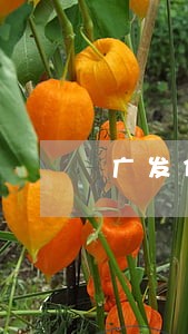 广发信用卡严重逾期能解冻吗