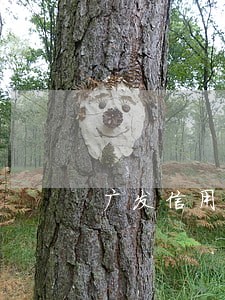 广发信用卡中心逾期催款 广发信用卡中心逾期催款