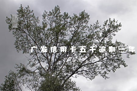 广发信用卡五千逾期一年 广发信用卡五千逾期一年