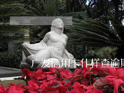 广发信用卡什样查逾期几个月 广发信用卡什样查逾期几个月