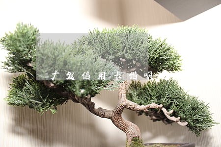 广发信用卡借呗逾期能办理吗 广发信用卡借呗逾期能办理吗