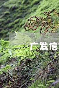广发信用卡几万逾期 广发信用卡几万逾期