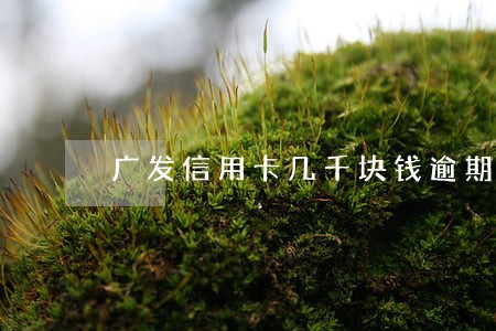 广发信用卡几千块钱逾期 广发信用卡几千块钱逾期