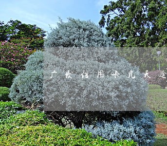 广发信用卡几天逾期会锁卡 广发信用卡几天逾期会锁卡