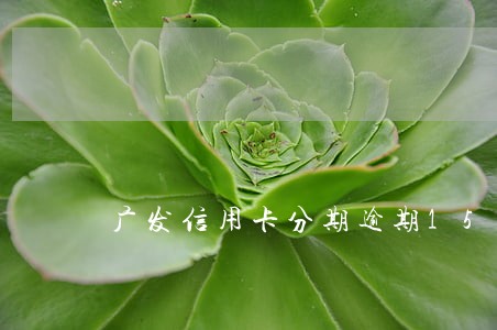 广发信用卡分期逾期15天 广发信用卡分期逾期15天