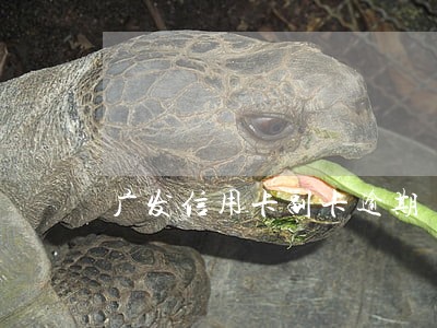 广发信用卡副卡逾期