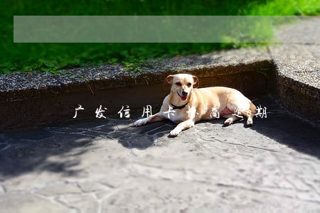 广发信用卡协商逾期 广发信用卡协商逾期
