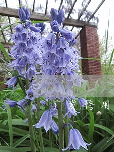 广发信用卡可以逾期3天吗 广发信用卡可以逾期3天吗