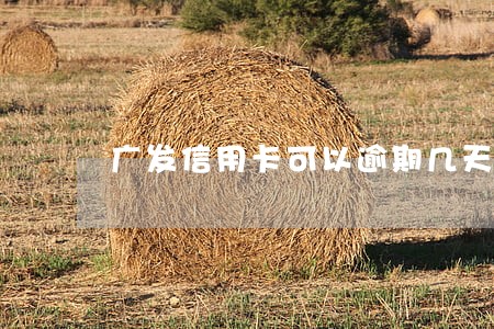 广发信用卡可以逾期几天