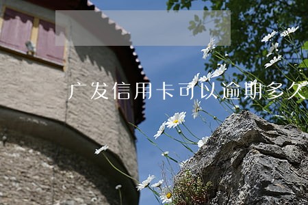 广发信用卡可以逾期多久还 广发信用卡可以逾期多久还