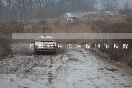 广发信用卡因逾期额度降到8元 广发信用卡因逾期额度降到8元