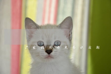 广发信用卡大面积逾期