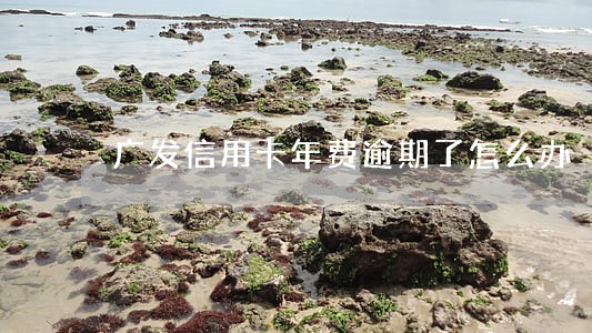 广发信用卡年费逾期了怎么办 广发信用卡年费逾期了怎么办