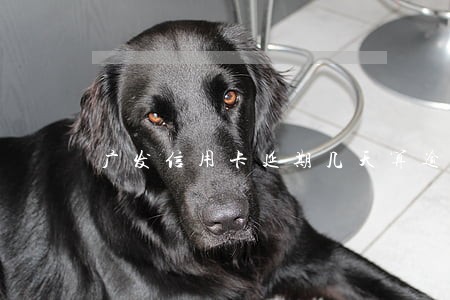广发信用卡延期几天算逾期 广发信用卡延期几天算逾期